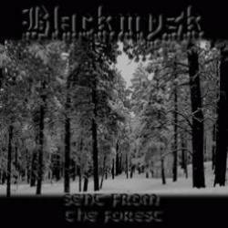 Blackmysk : Once Sent from the Forest